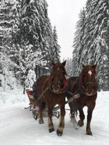 319375083 539163818086151 1643336859646227727 n