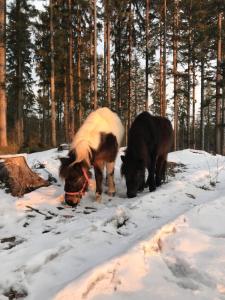 413215607 397717126118152 2226341555964808843 n